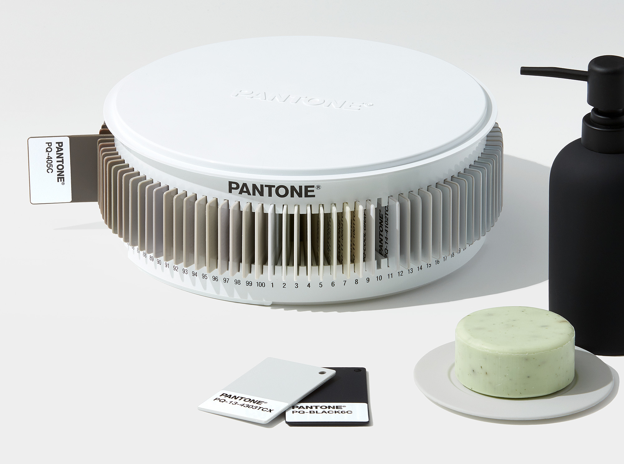 Pantone Plastic Color Standard Chips