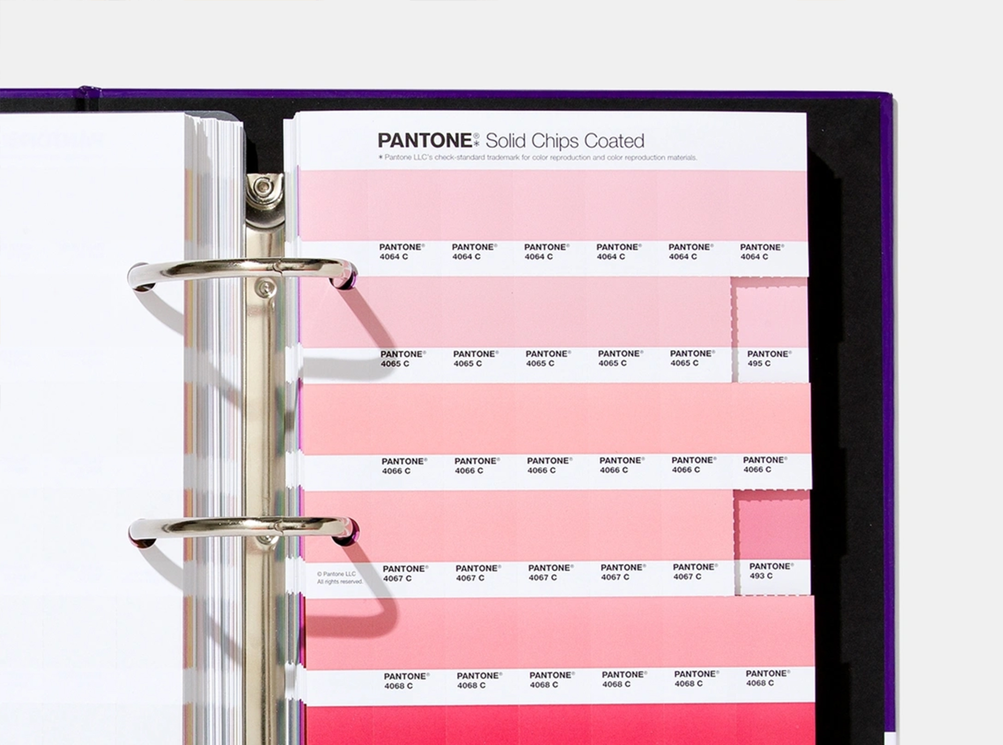 Pantone Solid Chips Coated Replacement Pages